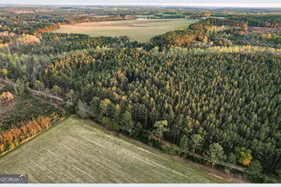 0 Dubberly Road, Baxley, GA 31513 - Photo 6