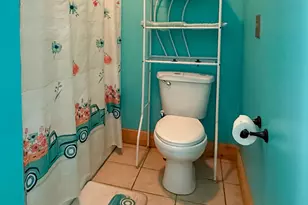 161 Twisting Ridge Trail, Demorest, GA 30535 - Photo 20