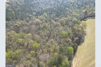 0 Hwy 247 Connector, Byron, GA 31008 - Photo 6