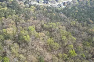 0 Hwy 247 Connector, Byron, GA 31008 - Photo 1