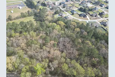 0 Hwy 247 Connector, Byron, GA 31008 - Photo 2