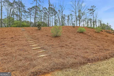 44 North Shore At Redwine Drive, Newnan, GA 30263 - Photo 34