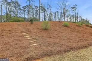 44 N Shore At Redwine Dr, Newnan, GA 30263 - Photo 34