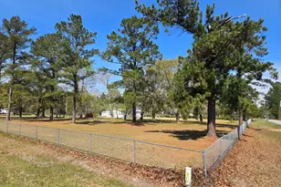 1606 Homestead Dr, Ellabell, GA 31308 - Photo 46