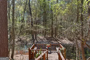 304 Steppingstone Ct, Statesboro, GA 30461 - Photo 24