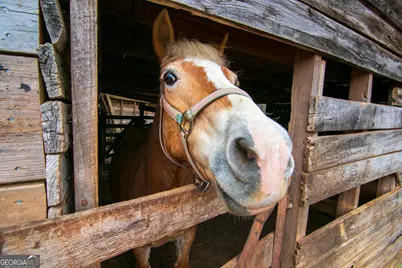 17081 Ga Highway 85 W, Shiloh, GA 31826 - Photo 24