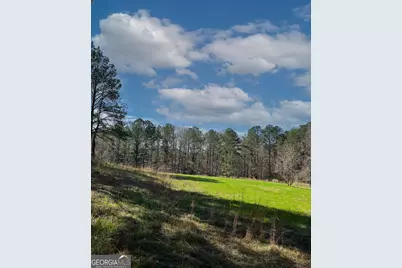 17081 Ga Highway 85 W, Shiloh, GA 31826 - Photo 38