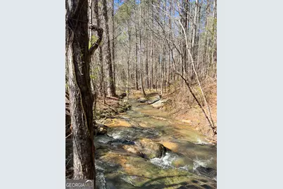 17081 Ga Highway 85 W, Shiloh, GA 31826 - Photo 32