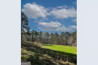 17081 Ga Highway 85 W, Shiloh, GA 31826 - Photo 12