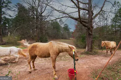 17081 Ga Highway 85 W, Shiloh, GA 31826 - Photo 18