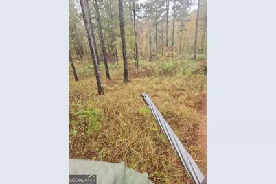 00 Martin Mill Road, Eatonton, GA 31024 - Photo 16