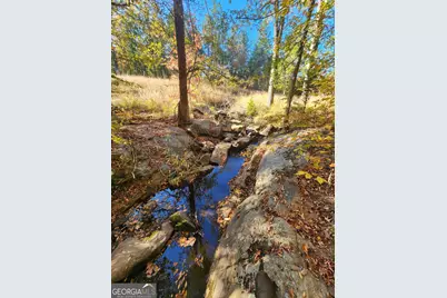 00 Martin Mill Road, Eatonton, GA 31024 - Photo 4