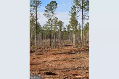 00 Martin Mill Road, Eatonton, GA 31024 - Photo 10