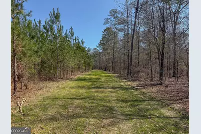 0 Dozier Road, Ellaville, GA 31806 - Photo 6