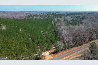 0 Dozier Road, Ellaville, GA 31806 - Photo 1