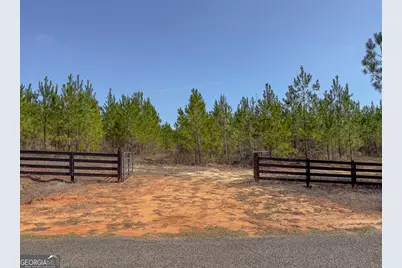 0 Dozier Road, Ellaville, GA 31806 - Photo 8