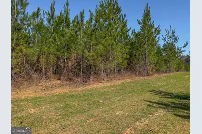 0 Dozier Road, Ellaville, GA 31806 - Photo 2