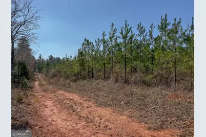 0 Dozier Road, Ellaville, GA 31806 - Photo 4