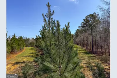 0 Dozier Road, Ellaville, GA 31806 - Photo 14