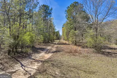 3601 Stuckey Road, Danville, GA 31017 - Photo 74