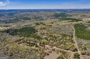 3601 Stuckey Rd, Danville, GA 31017 - Photo 48