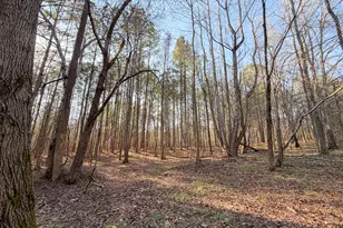 0 W Union Hill Rd, Winston, GA 30187 - Photo 46