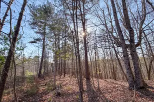 0 W Union Hill Rd, Winston, GA 30187 - Photo 42