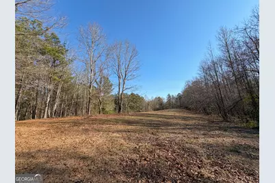 0 W Union Hill Road, Winston, GA 30187 - Photo 32