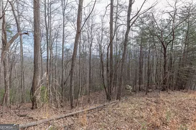 Lot 19A Stephens Road, Blairsville, GA 30512 - Photo 16