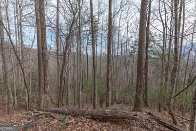 Lot 19A Stephens Road, Blairsville, GA 30512 - Photo 18