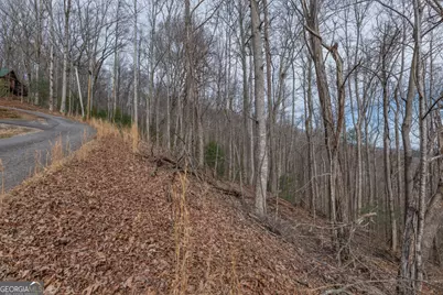 Lot 19A Stephens Road, Blairsville, GA 30512 - Photo 12