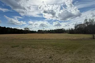 997 NE Darwell Long Rd, Ludowici, GA 31316 - Photo 4