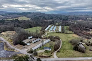 16 Antioch Church Rd, Blairsville, GA 30512 - Photo 32