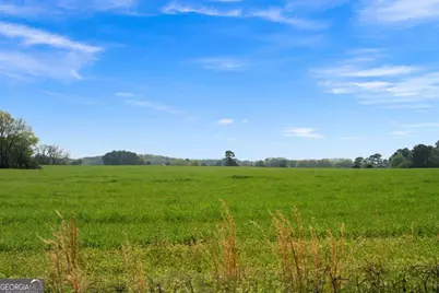 0 Taylorsville Macedonia / Miller Farm Rd. Road, Taylorsville, GA 30178 - Photo 8