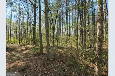 1496 Hardigree Road, Winder, GA 30680 - Photo 12