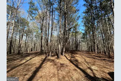 1251 Adams Road, Union Point, GA 30669 - Photo 8