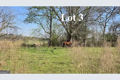 0 Wh Hayes Road, Winder, GA 30680 - Photo 6