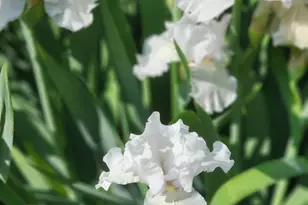 180 Sycamore Bend, Fayetteville, GA 30214 - Photo 30