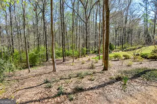 397 Oak Grove Path, Griffin, GA 30224 - Photo 64