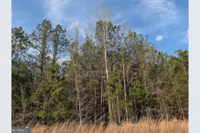 0 Pollett Road #LOT 23, Bartow, GA 30413 - Photo 26