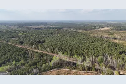 0 Pollett Road #LOT 23, Bartow, GA 30413 - Photo 8