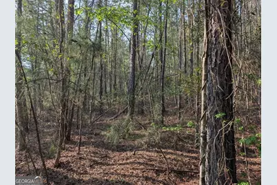 0 Pollett Road #LOT 23, Bartow, GA 30413 - Photo 28