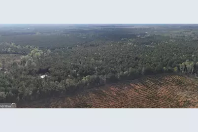 0 Pollett Road #LOT 23, Bartow, GA 30413 - Photo 12