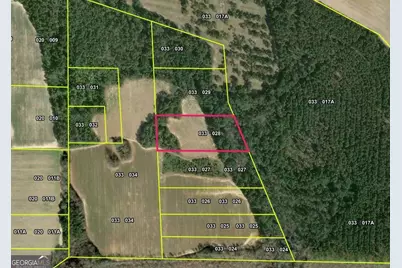 0 Webster Road, Waynesboro, GA 30830 - Photo 2