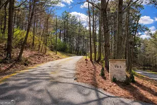 105 Riveredge Dr, Ellijay, GA 30536 - Photo 54