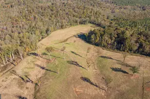 167 McCoy Bridge Rd, Homer, GA 30547 - Photo 70