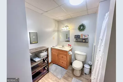 4642 New Franklin Road, Hogansville, GA 30230 - Photo 40