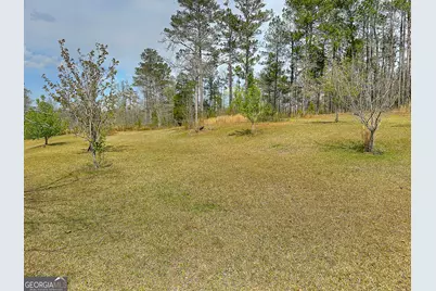 4642 New Franklin Road, Hogansville, GA 30230 - Photo 54