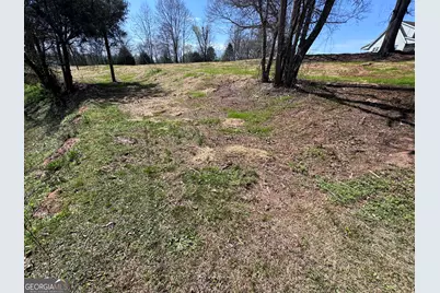 0 River Ridge, Carnesville, GA 30521 - Photo 12