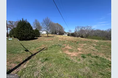 0 River Ridge, Carnesville, GA 30521 - Photo 16